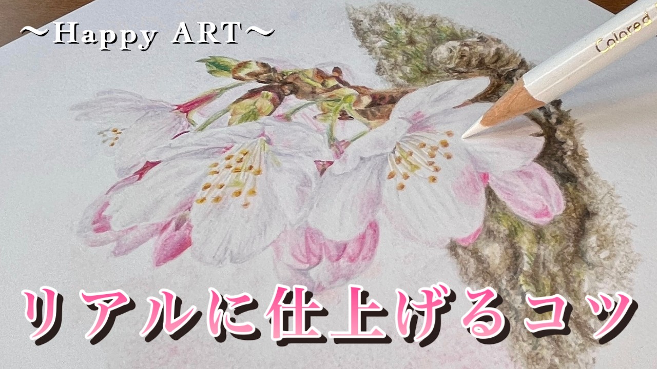 【色鉛筆画】まるで本物⁉︎桜の花をリアルに描く方法！　【初心者向け解説付き】Easy guide to drawing vibrant cherry blossom branches