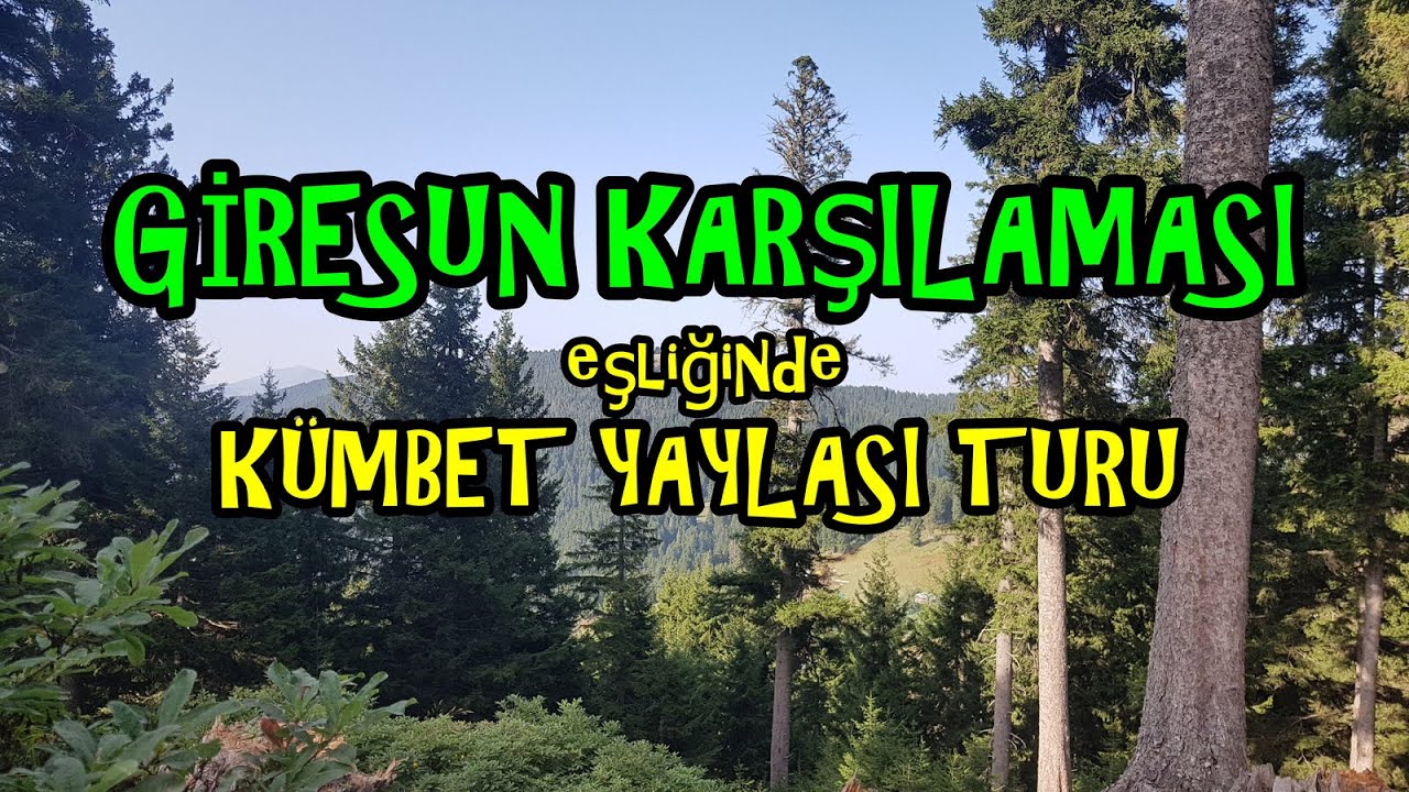 GİRESUN KARŞILAMASI eşliğinde KÜMBET YAYLASI TURUMUZ / YAYLADAN MANZARA GÖRÜNTÜLERİ