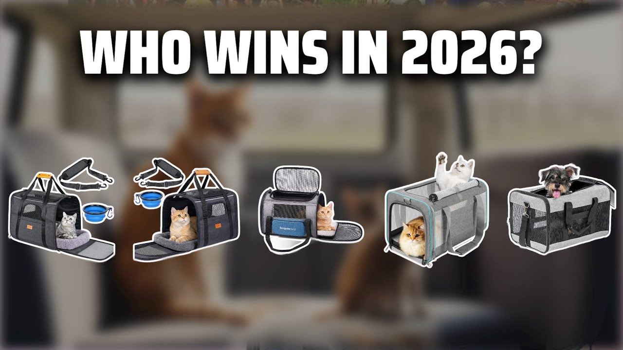 The Top 5 Best Cat Carriers in 2026 - Must Watch Before Buying!