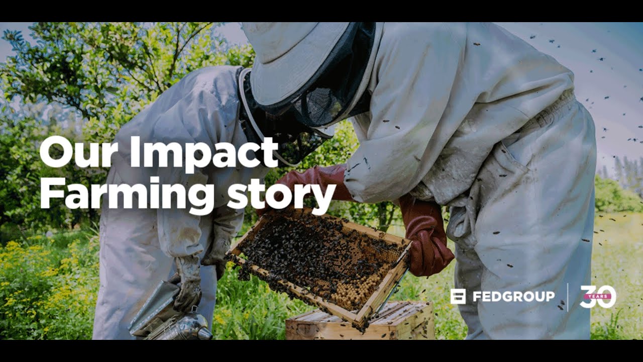 Fedgroup Impact Farming - Short film