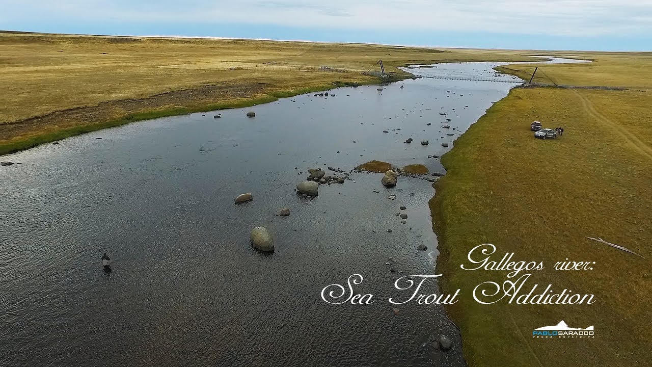 Gallegos River - Sea Trout Addiction