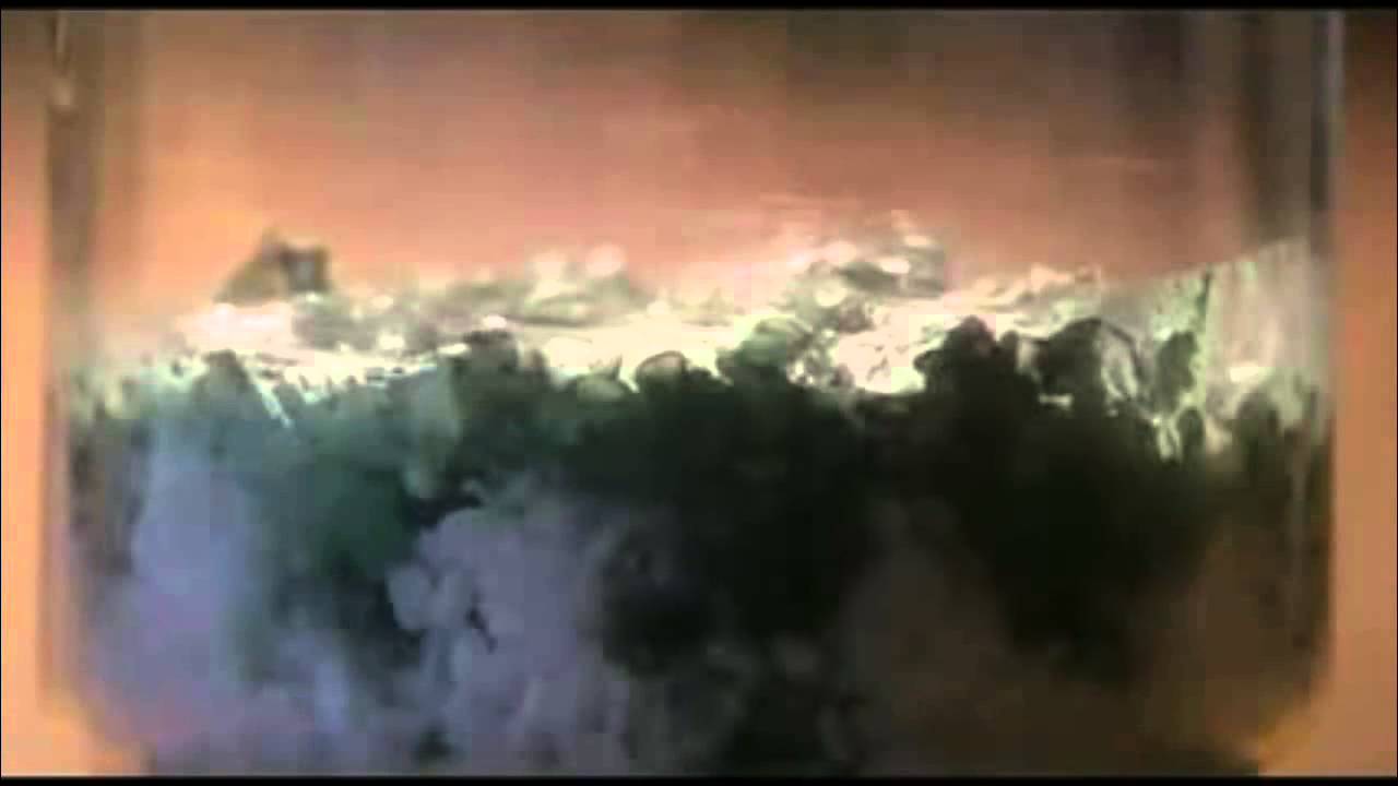 Masaru Emoto's Rice Experiment 2014 - Die Seele der Gesundheit