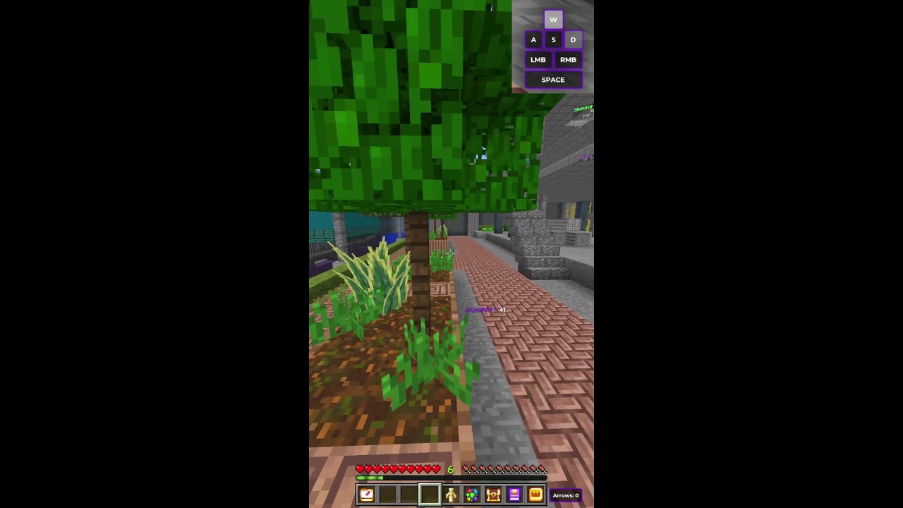 365 Days of Hive Bedwars LIVE | Day #22 (Portrait)