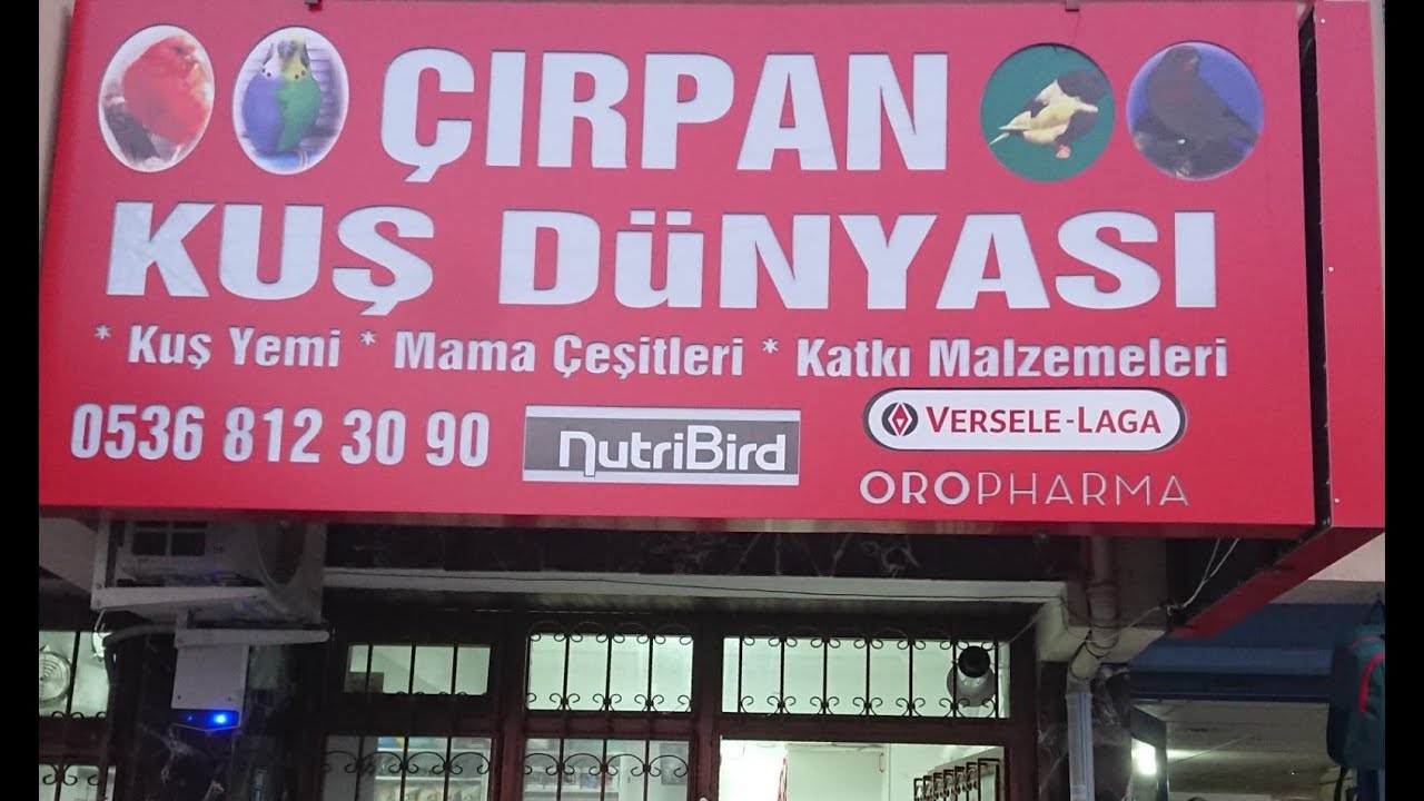 Kuş Ekipmanları Toptancı Fiyatı (Çıpran Kuş Dünyası)