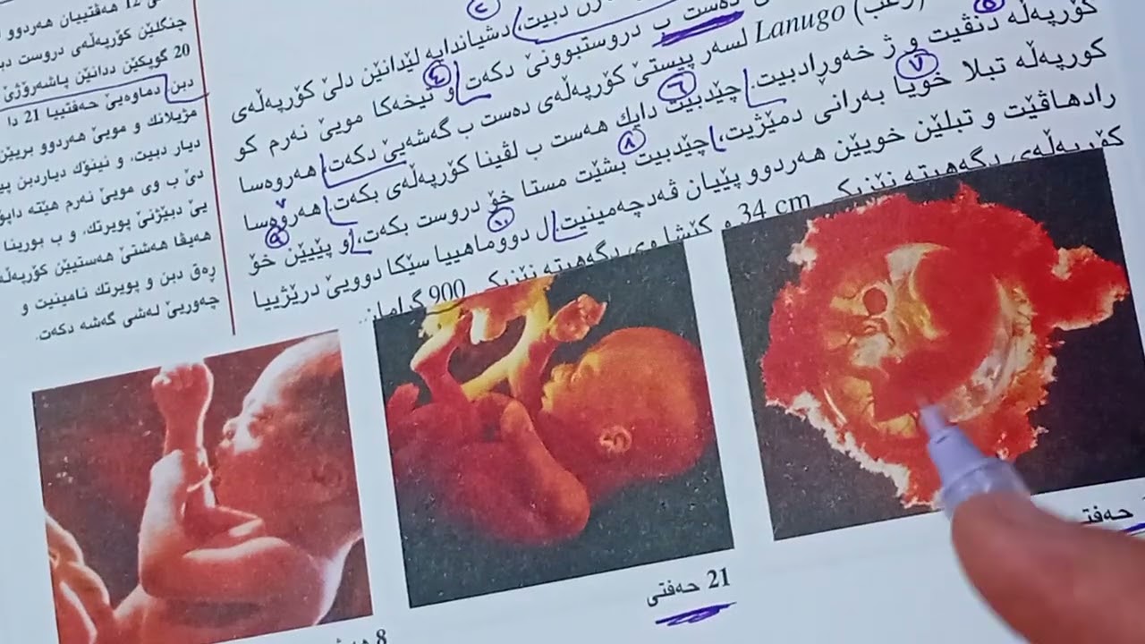 زیندەوەرزانی12 بادینی. پشکا(6-3) (Part 3) دووگیانی و سێکا دووێ و سیێ و زارۆکبوون (م. عماد علي)