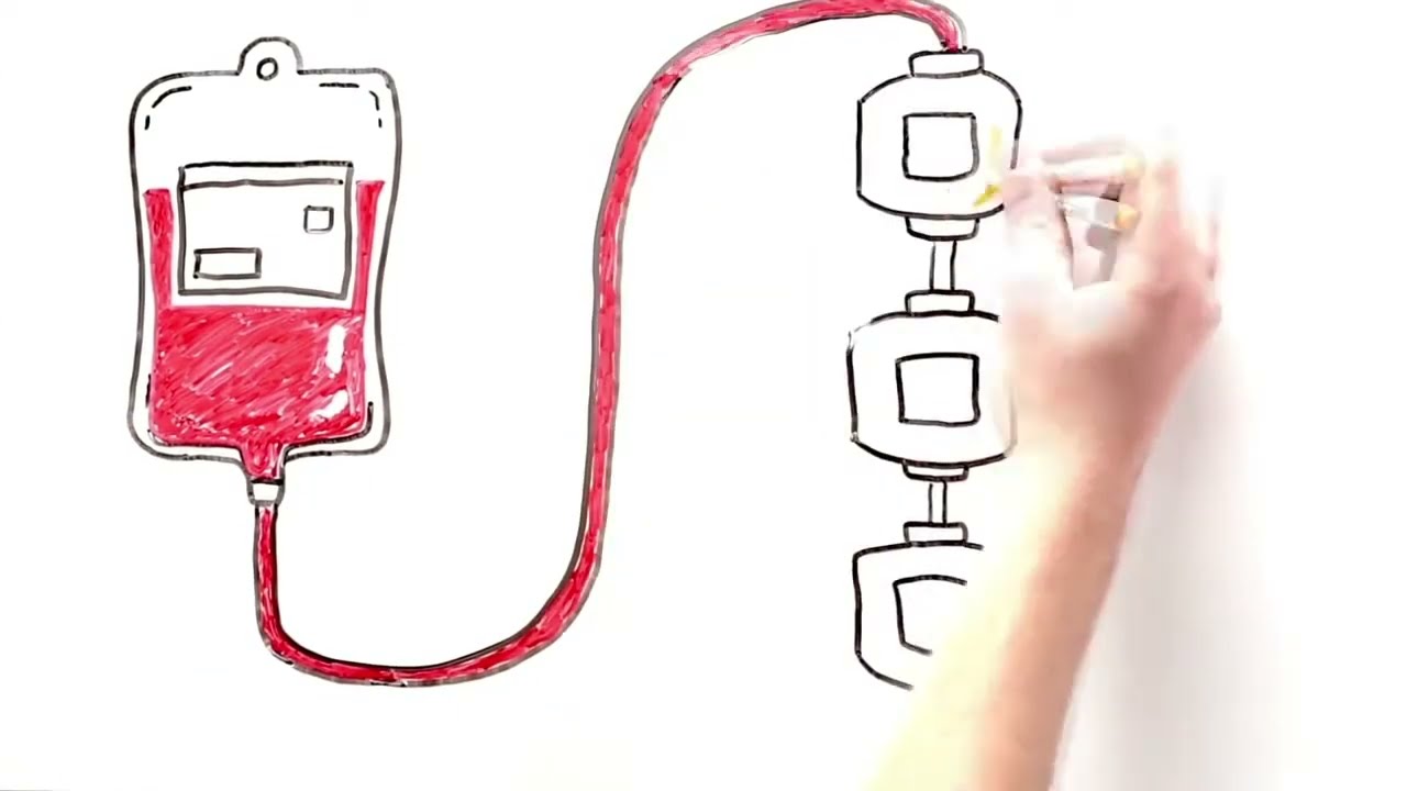 Plasma for transfusion