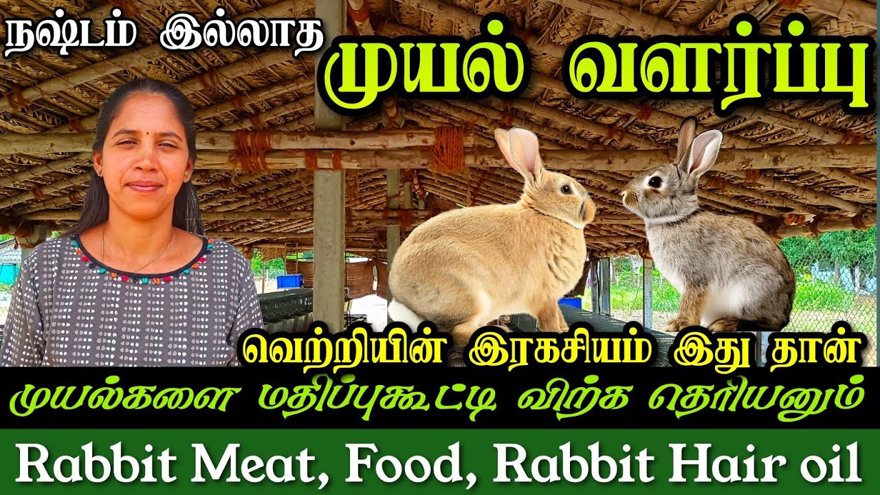 இலாபம்தரும் முயல் வளர்ப்பு | சாதிக்கும் இளம்பெண் | சரியான முறையில் Marketing | Rabbit farming method