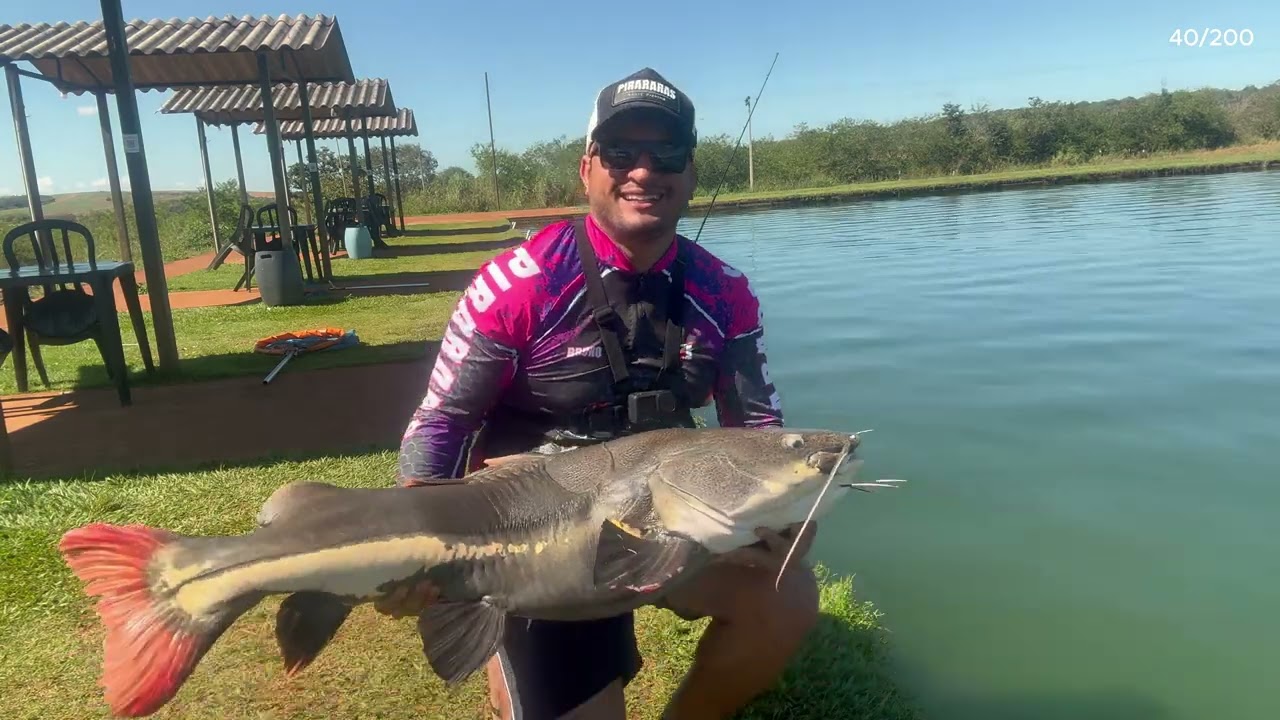 TEVE MUITA PIRARARA NESSA PESCARIA NO CLUBE PESCAR