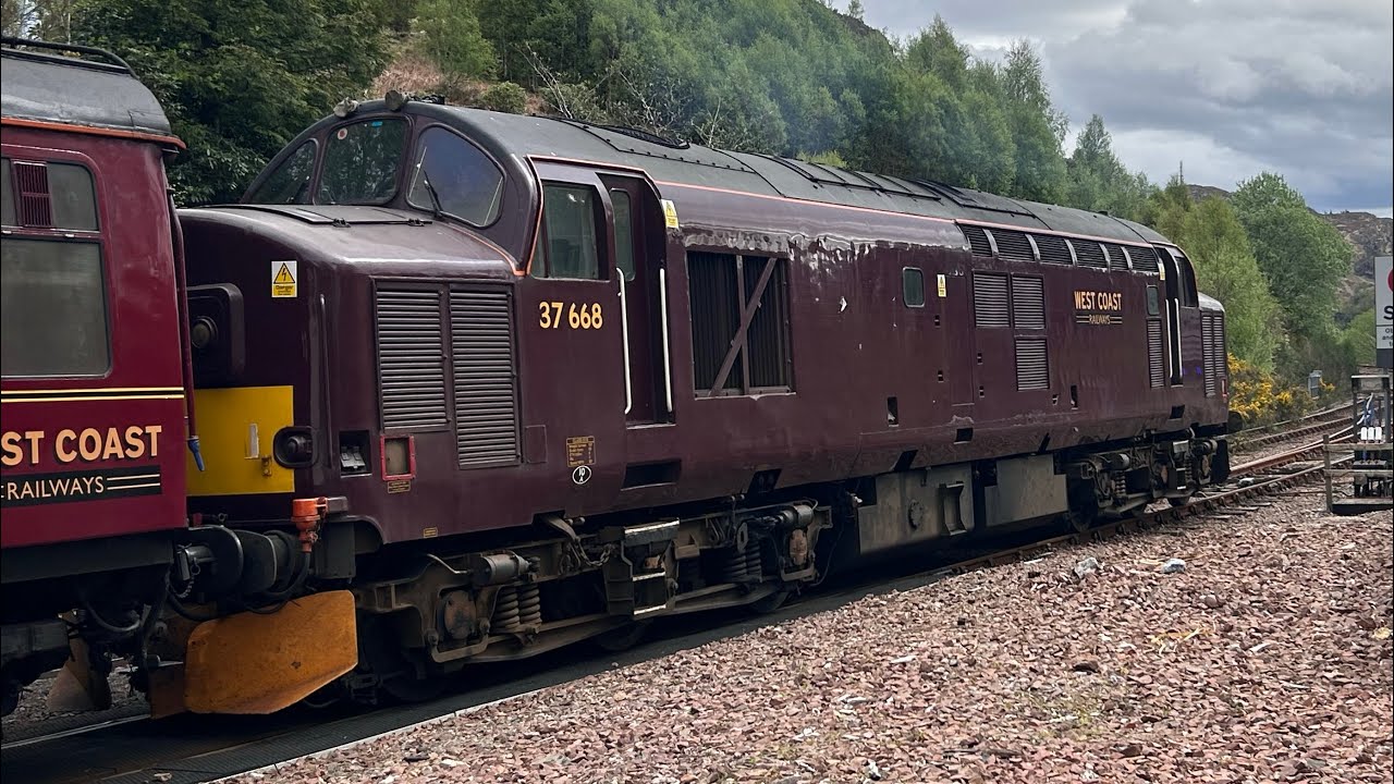 The Class 37 Christmas Day Special.