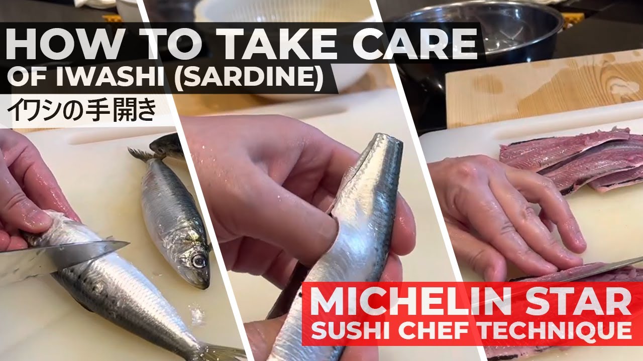 How to take care Sardine(Iwashi) by Michelin Star sushi chef