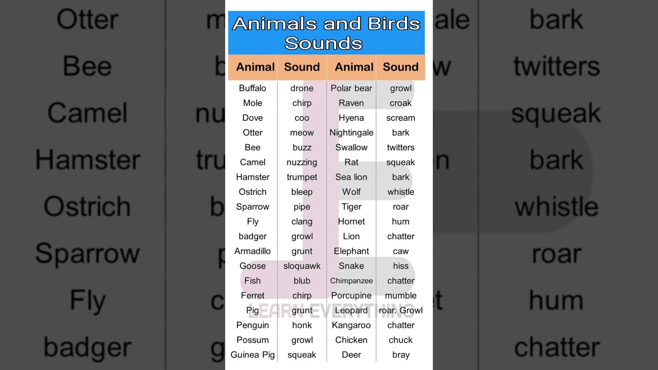 Animals and Birds Sounds 