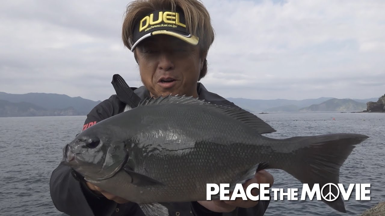 PEACE THE MOVIE #132「ルアーもフカセもお墨付き、まさかの名所巡りも?」九州地方・大分県 深島の旅/平和卓也（1503）
