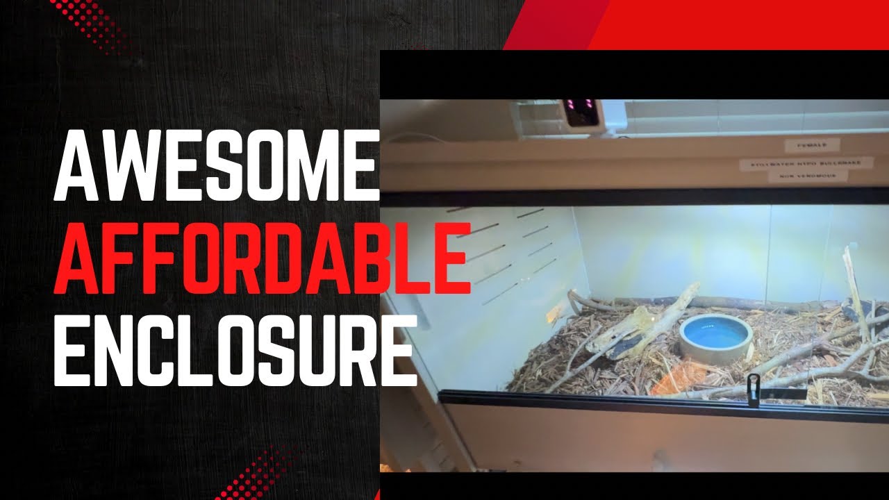 Great Reptile Enclosure For The Money