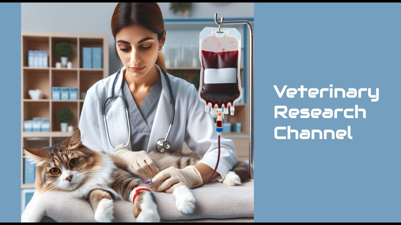 41. Feline ABC Blood Type Discordance : A Case Report