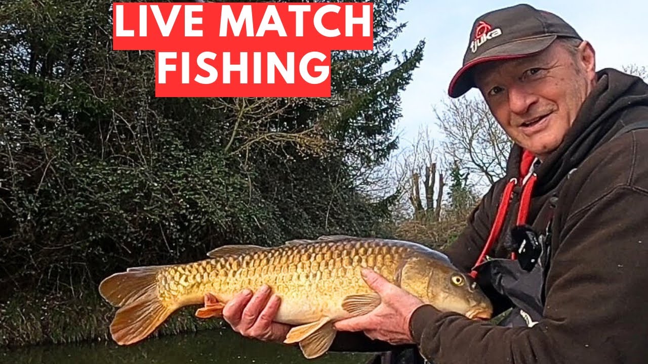 Live Match Fishing Mill Farm Lakes Great Ellingham nr17 1le, #matchfishinguk