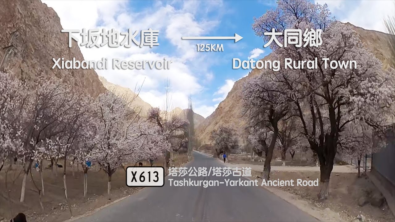 360°新疆崑崙山谷駕車 | X613 塔莎古道 春季杏花 | 下坂地水庫 — 庫祖村 — 大同鄉