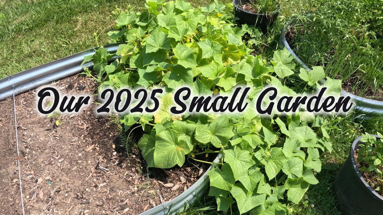 2025 Garden Tour