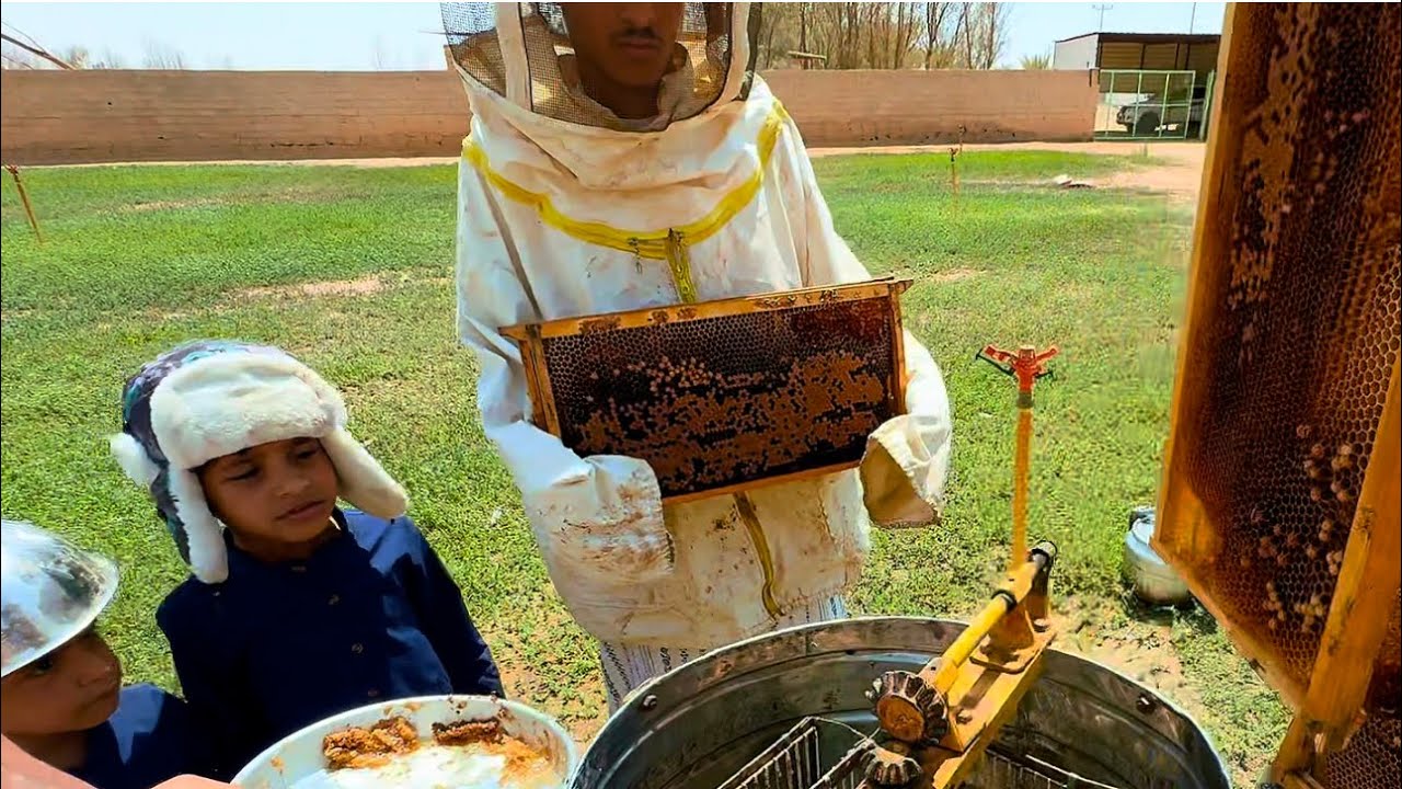 قطف عسل 🐝🍯  وتم تصويره للمشاهده والمتعه 😊
