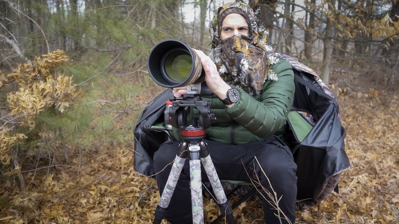 I Messed It Up! - Wildlife Photography in Chair Blind | Photographing White-Tailed Deer