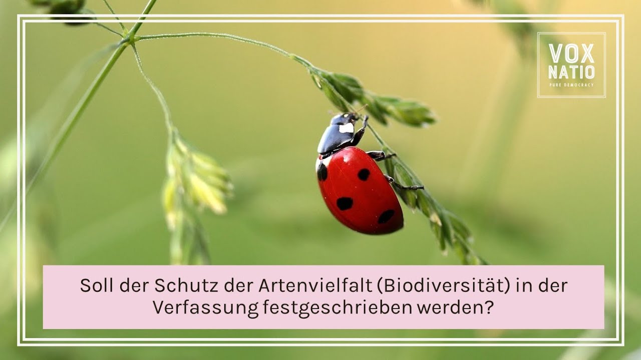 Abstimmung zur 