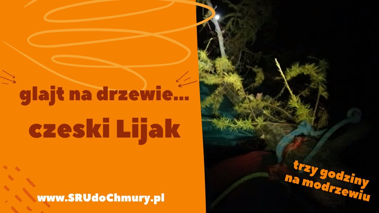 akcja drzewo