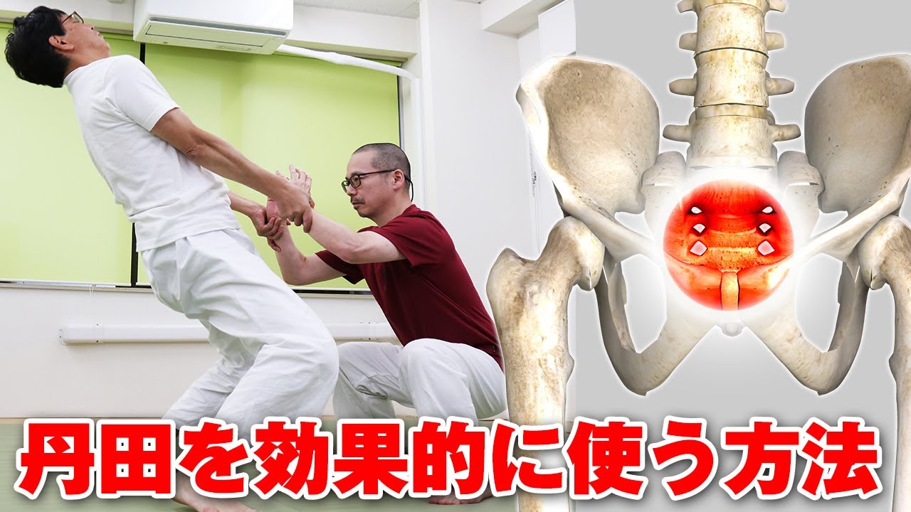 広沢成山の「力の最適化を目指す」超入門 【丹田のコツ】【丹田】を養成する画期的メカニズムを”脱力のプロ”が解明する！  Hara Power: Tips for Using Tanden