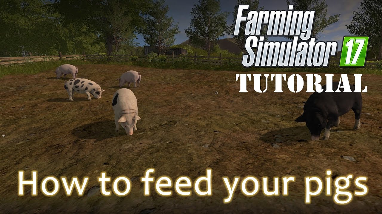 Farming Simulator 17 - How to feed your pigs - A Tutorial