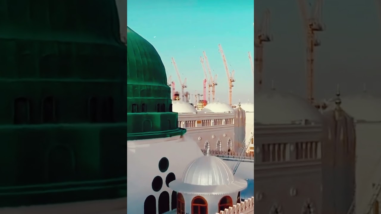 نظرة نظرة لي نظرة منكم يا أبا الزهرا