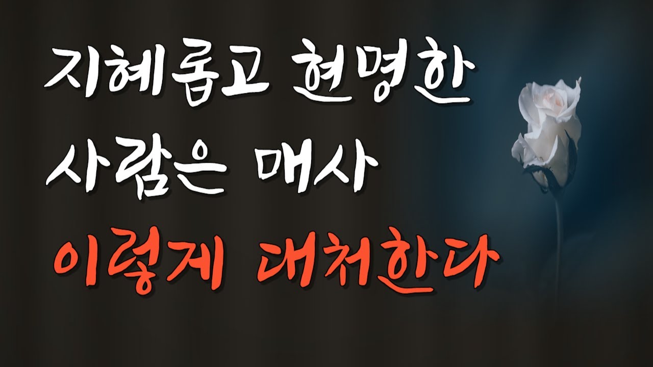 지혜롭고 현명한 사람은 매사 이렇게 대처한다 /  인생의 지혜