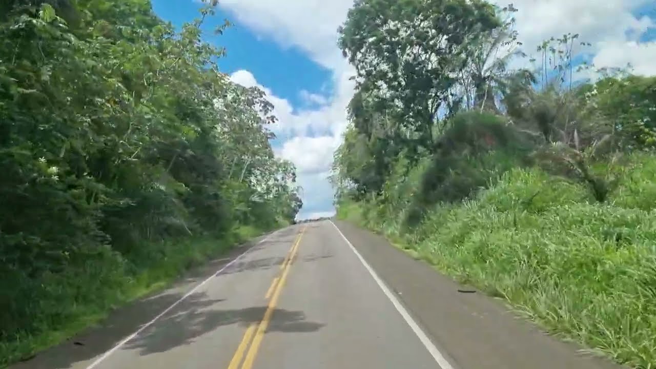 BR 101 SUL DA BAHIA,  COSTA DO CACAU, #br101 #bahia #brasil #nordeste 