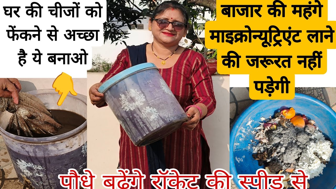 घरेलू माइक्रोन्यूट्रिएंट, पौधों की ग्रोथ लंबाई बढ़ाने के लिए, फरवरी में कटाई छटाई के बाद तुरंत डालें