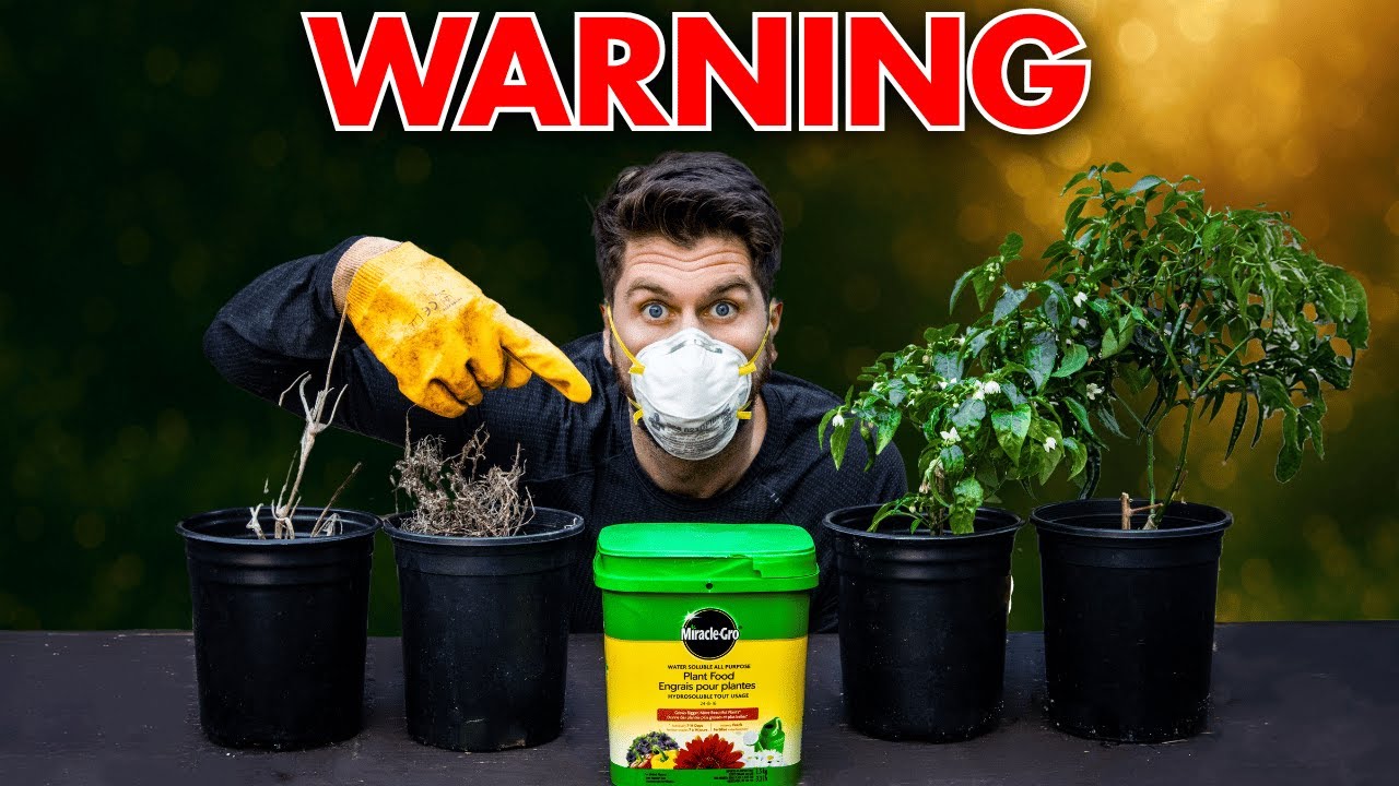 I Tested overfertilizing my plants and NEVER thought this would happen!