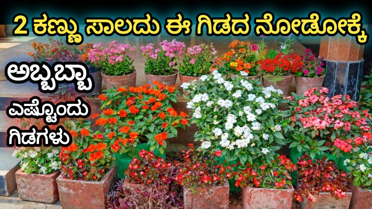 ಇವರ ಗಾರ್ಡನ್ ನೋಡಕ್ಕೆ ಎರಡು ಕಣ್ಣು ಸಾಲೋಲ್ಲ /Beautiful Home Garden Tour Kannada@malenadahudugibindu