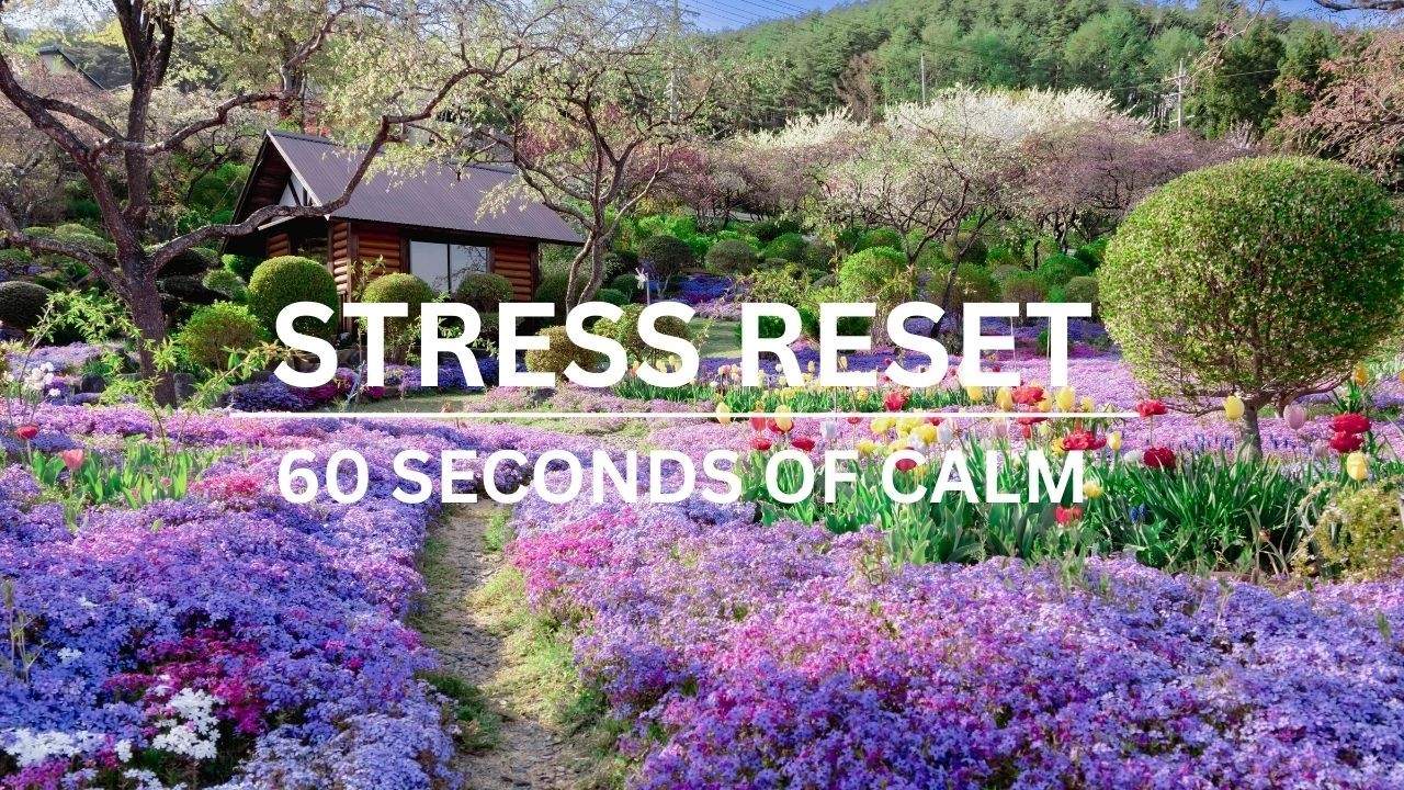 A Moment of Calm – Flower Vibes | 60 Second Stress Reset