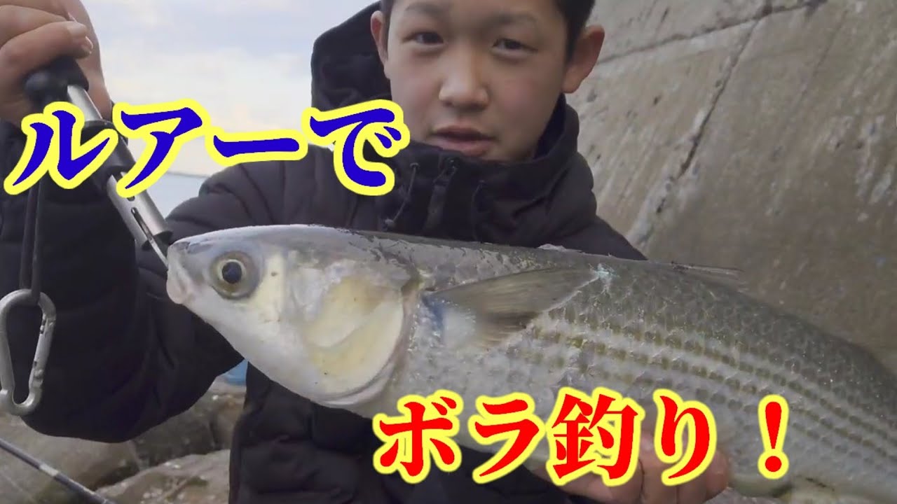 ルアーでボラ釣り＃1