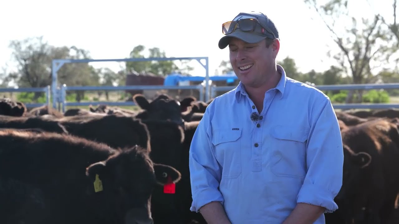 Cydectin Cup | Meet the Producers: Jake Cutcliffe