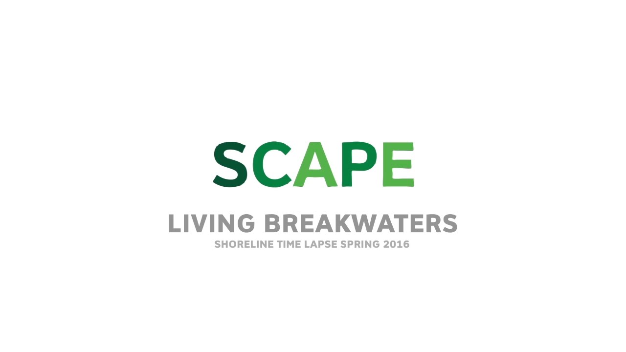 SCAPE-Living Breakwaters Time Lapse Video Spring 2016