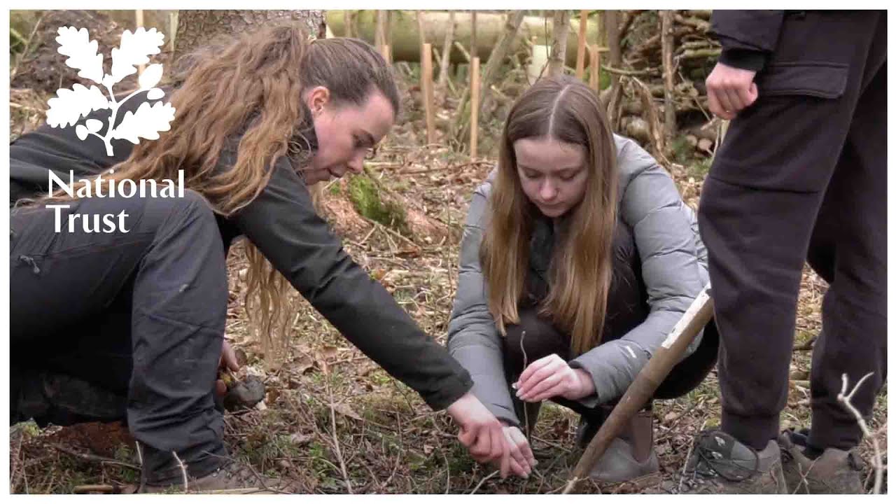 How the National Trust is healing climate harm at Wallington