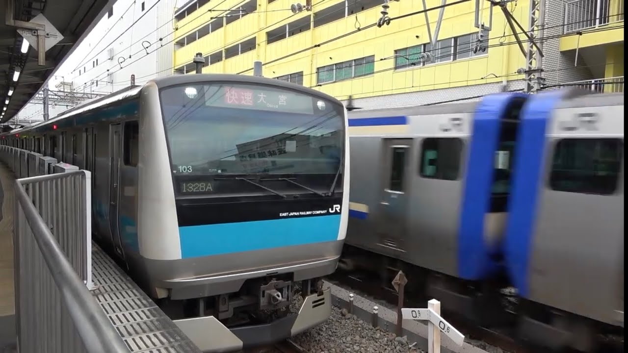 【鶴見】JR 京浜東北線 湘南新宿ライン 横須賀線 鶴見線 E231系 E233系 E235系 相鉄線直通 埼京線 総武快速線 東海道線 成田エクスプレス 貨物 桃太郎