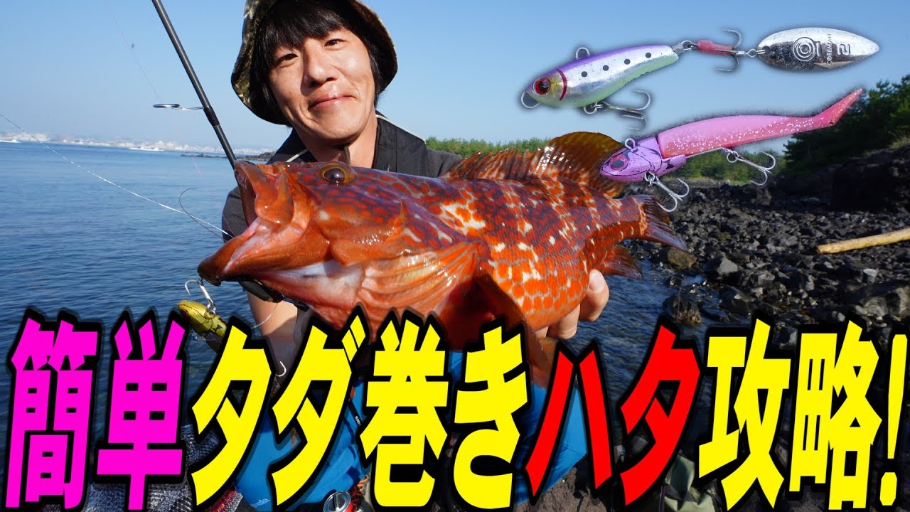 【ロックフィッシュ】ジグヘッドリグ＆ブレードでハタを攻略～広川嘉孝（ひろかわ・よしたか）