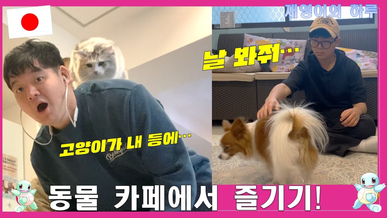 동물 카페에서 즐기기! (오사카 여행 시즌 2-4)