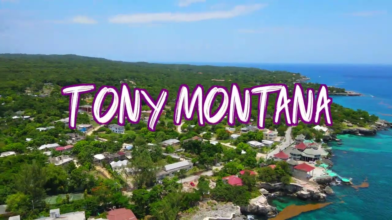 BizzyDaBachelor - Tony Montana (Official Music Video)