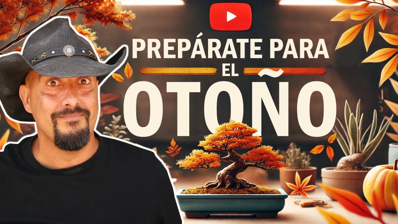 Prepara tu Bonsái para el Otoño: 5 Claves Infalibles