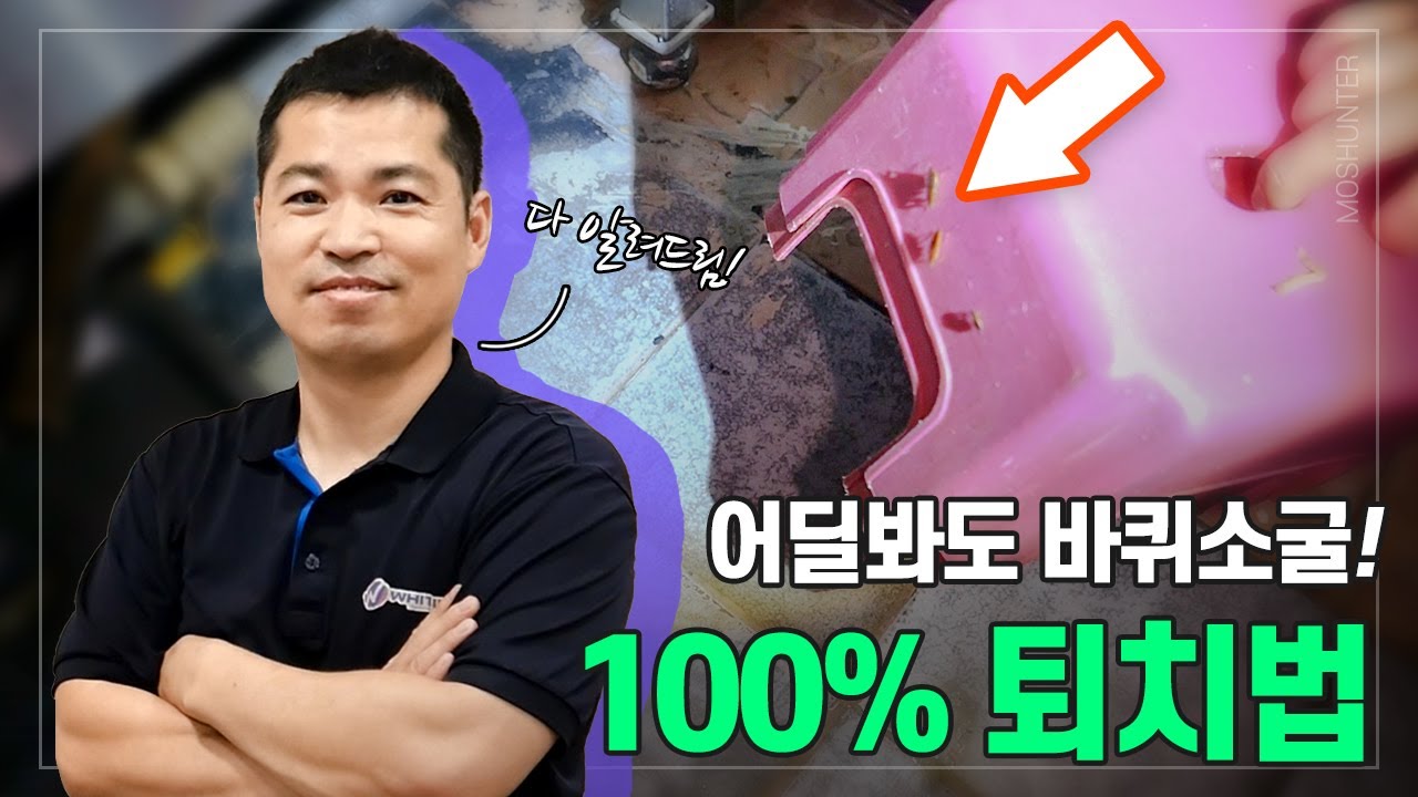 바퀴벌레 수천 마리에 점령 당한 식당, 이것만 알면 바퀴벌레 다 때려잡습니다! | 최고 전문가의 바퀴벌레 퇴치 비법!