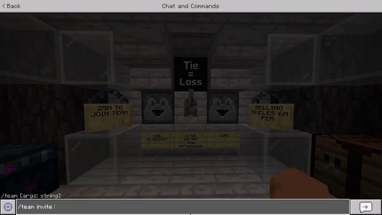 DONUT SMP GAMBLING + ELYTRA AH