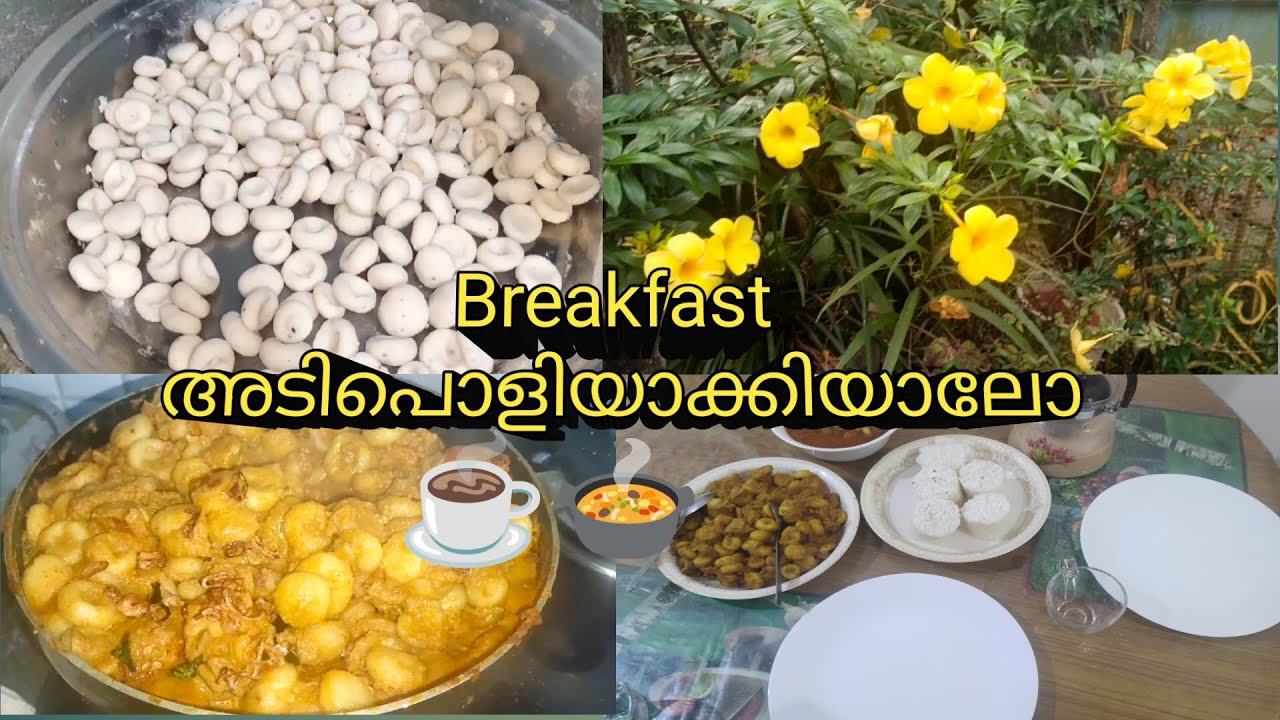 ബ്രേക്ക്ഫാസ്റ്റ് കിടുവാക്കിയാലോ🍲☕ Morning vlog 🌅 Tasty Breakfast #bestmoments