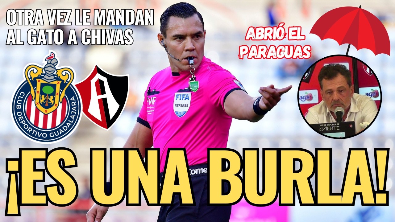 🚨 ¡NOTICIAS CHIVAS: Es una BURLA, el GATO PITARÁ de nuevo al REBAÑO! El vecino ABRE el PARAGUAS 🚨