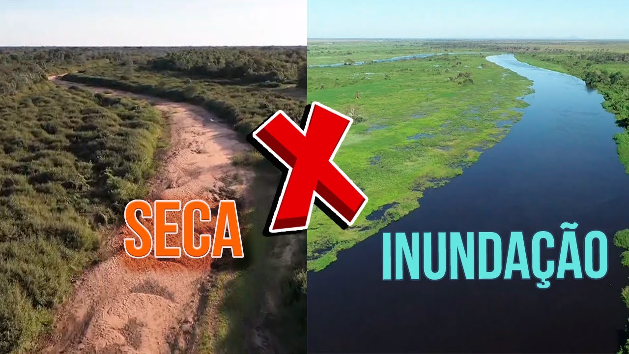 De seca &agrave; inunda&ccedil;&atilde;o: Pantanal renasce ap&oacute;s 4 anos de estiagem
