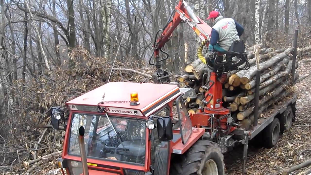 carro forestale