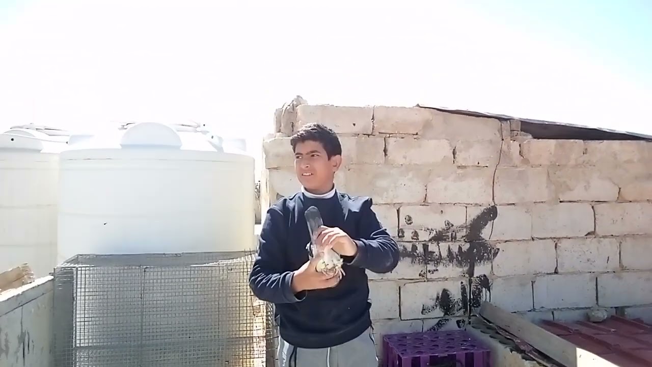 االيوم تجديد السطح 😉